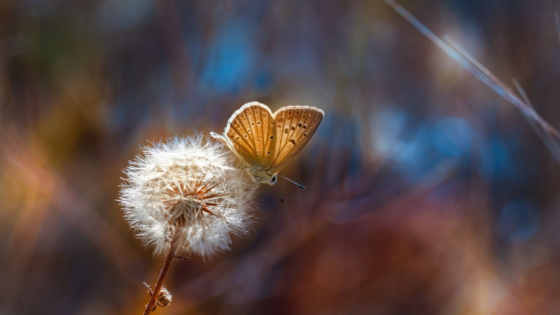 bien vivre son hypersensibilité