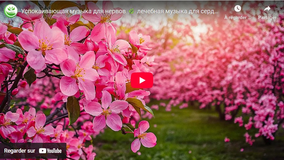 Musique apaisante pour les nerfs